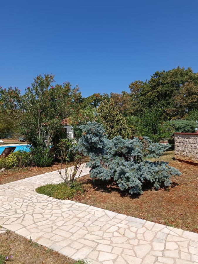 Hotel Holiday Buici  Buitenkant foto